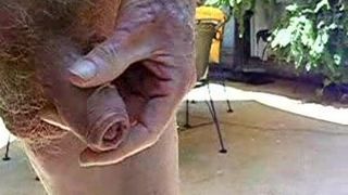 Old Man Pissing