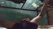 Pregled videozapisa