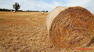 Red Goes Harvesting!