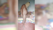 Pratinjau video