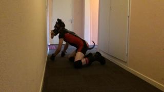 Игра со щенком в коридоре