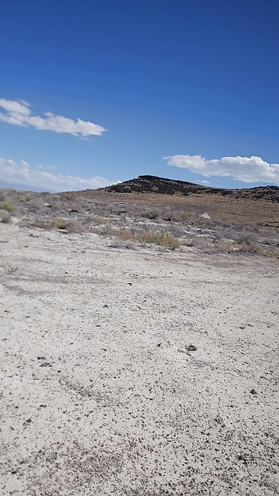 Paseo por el desierto 1