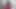 Megan Rain bir köpek yavrusu istiyor ama yeterli parası yok!!