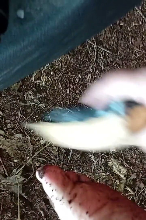 Dirty Feet Outside