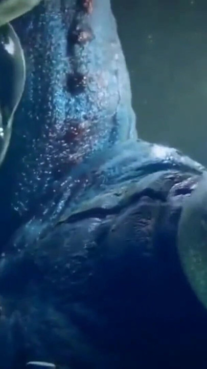 Uzbudljiv trenutak iz "Argonian Wrinkled Alchemy"