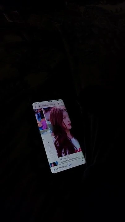 Ex-Momoland Daisy cum tribute