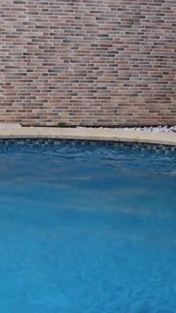 Baise intense et non contrôlée au milieu de la piscine avec une femme enceinte | Clip 3