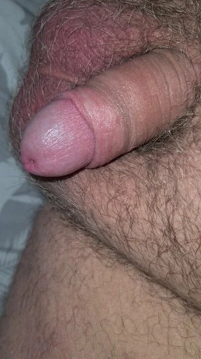 Polish dick