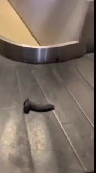 Funny Dildo