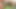 角質BBWひよこFucks前に彼女の野郎を罰する
