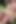 Golf kızı -ai generated-