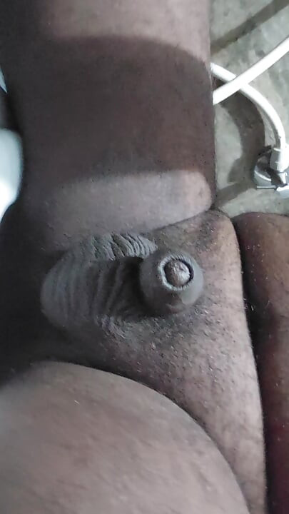 Micro pinnis
