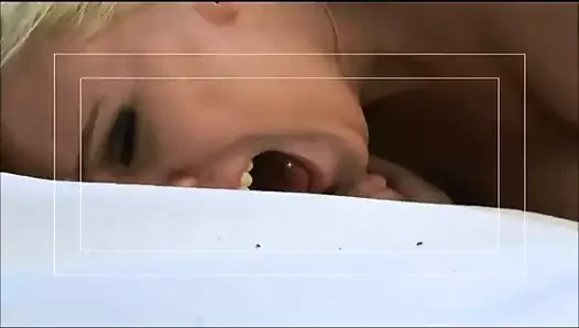 Pounded on the Lounger