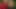 Indian girl taken to the jungle and left