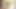 Orta yaşlı seksi kadın avcısı 2