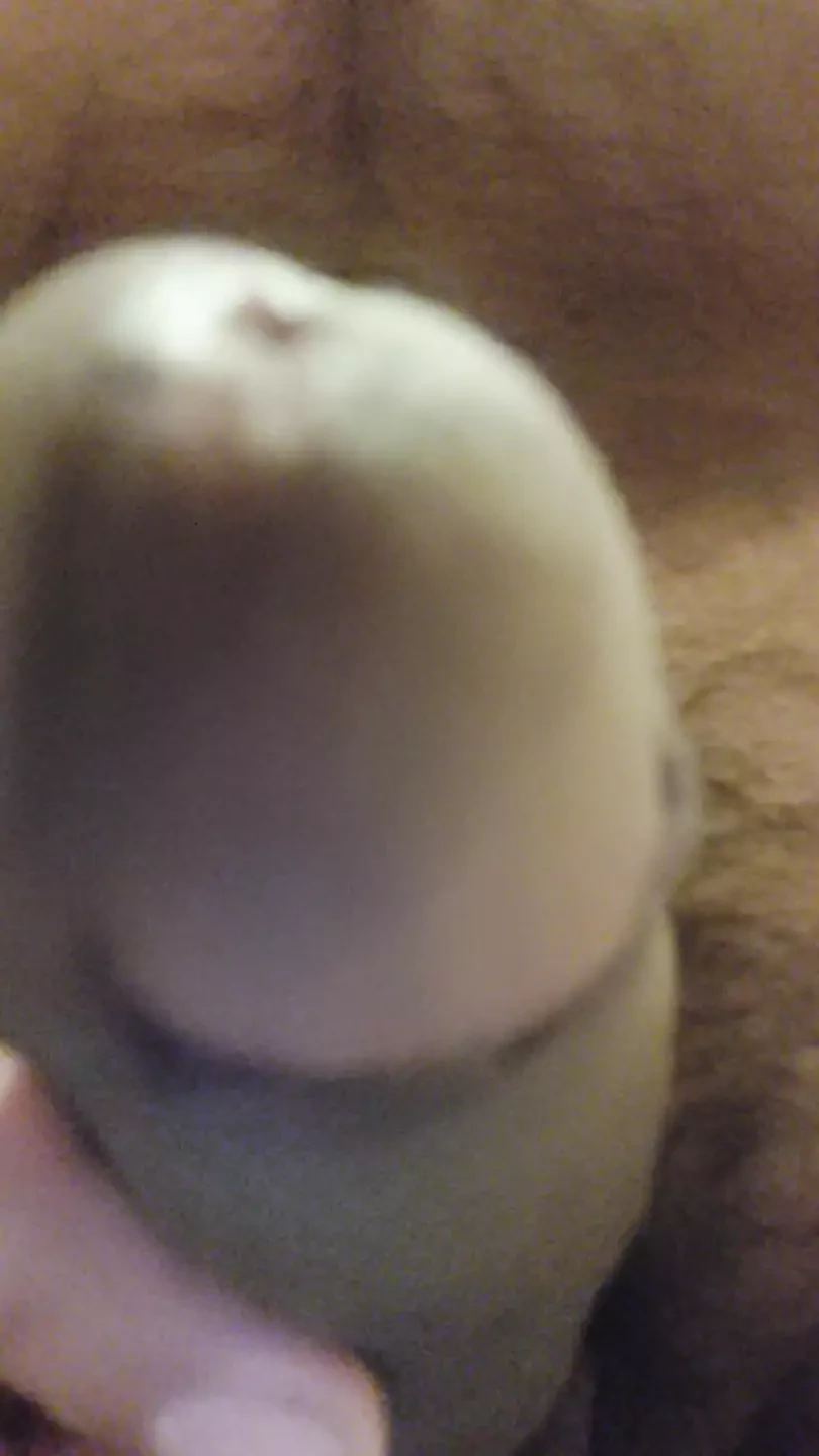 Corpo naturale cazzo naturale ragazzo paffuto cazzo nero