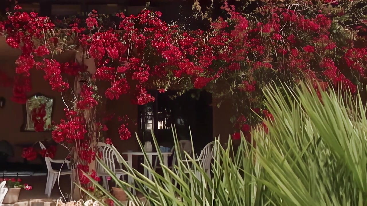 ร้อนแรงบนชายหาดและเตะของการโดนจับได้