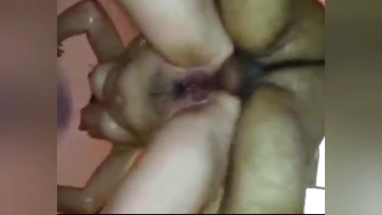 After long time I fucked my step mother In kitchen room