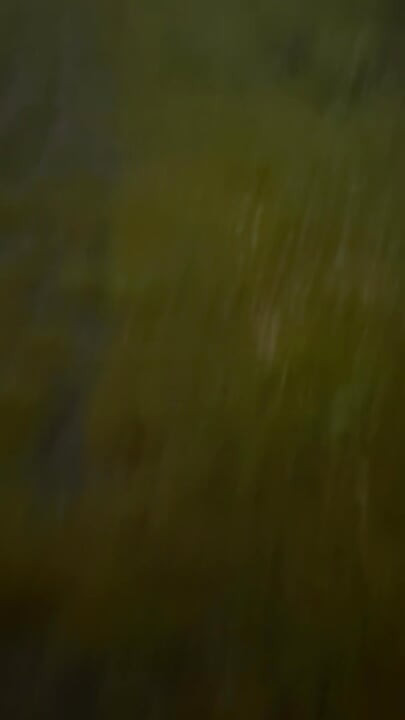 Left clothes in car for a barefoot naked walk in the rain down a lane never walked even clothed