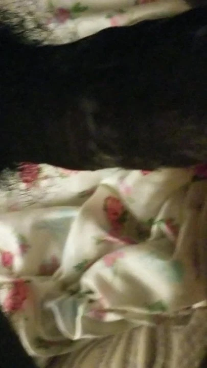 BBC cums in his wife and makes a creamy mess