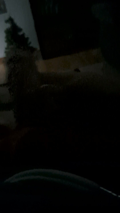 Masturbándome con mi pollita