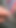 L video - lant😱