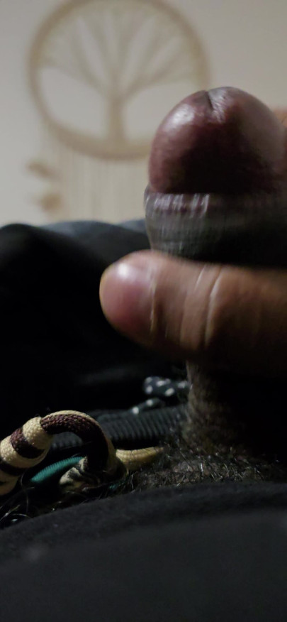Indian ,sri lankan dick