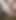 A little bit of cum