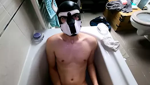 Belgian porn video – Cute puppy Snauwflake gets a golden shower from Matthew Fox