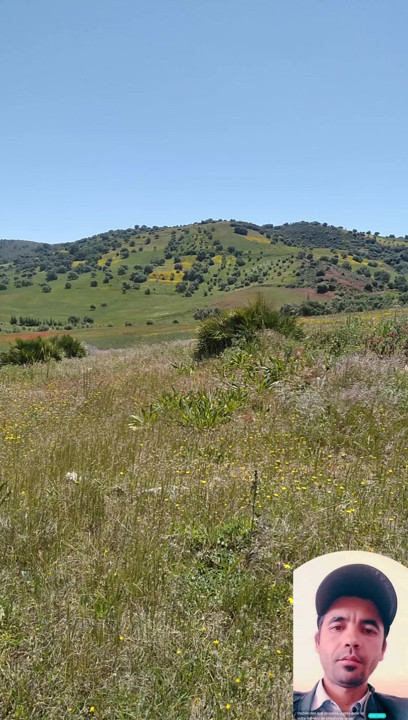 Doğa aklımı yariyor