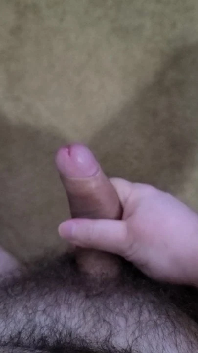 Hairy Wet Uncut Cock Masturbation