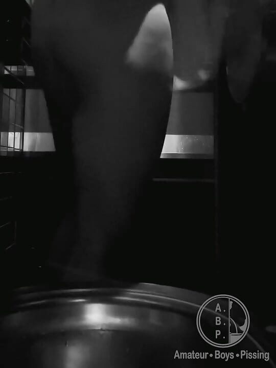 Public Toilets Encounter #2