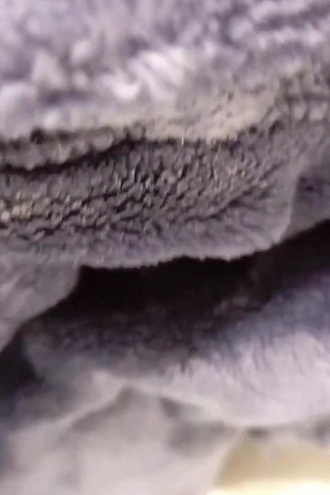 The Pig Shows You How Far the Cum in the Previous Video Splashed and His Big Cock Full of Semen