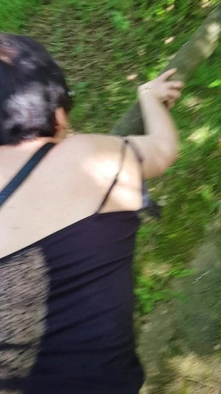 Attestation de deplacement dans la limite d un kilometre