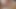 興奮した豚たちに抱かれる可愛くてセクシーな女の子