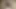 BBW geile Titten