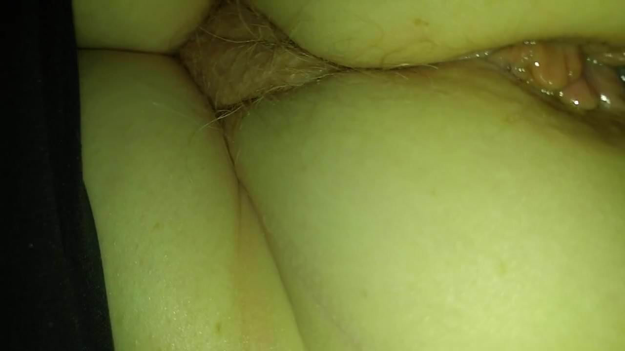 Fat holly
