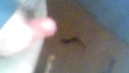 Mee