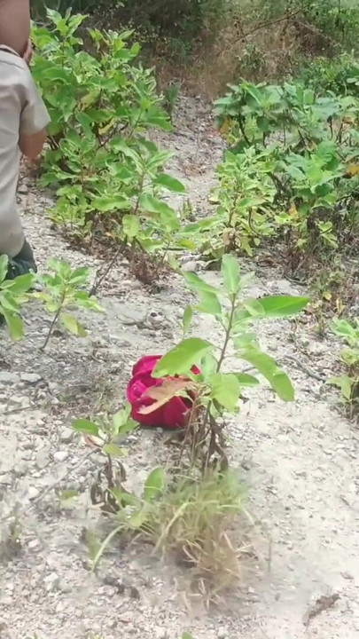 זקן בר מזל מזיין את בתו החורגת היפה ובעלת התחת הגדול באזור כפרי | קליפ 2