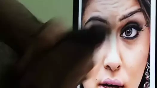 Hansika motwani'nin en ateşli yüzü