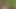 Cute 18 Teen Boy Can't Hold Pee and Desperately Moans while Peeing in Nature 4K