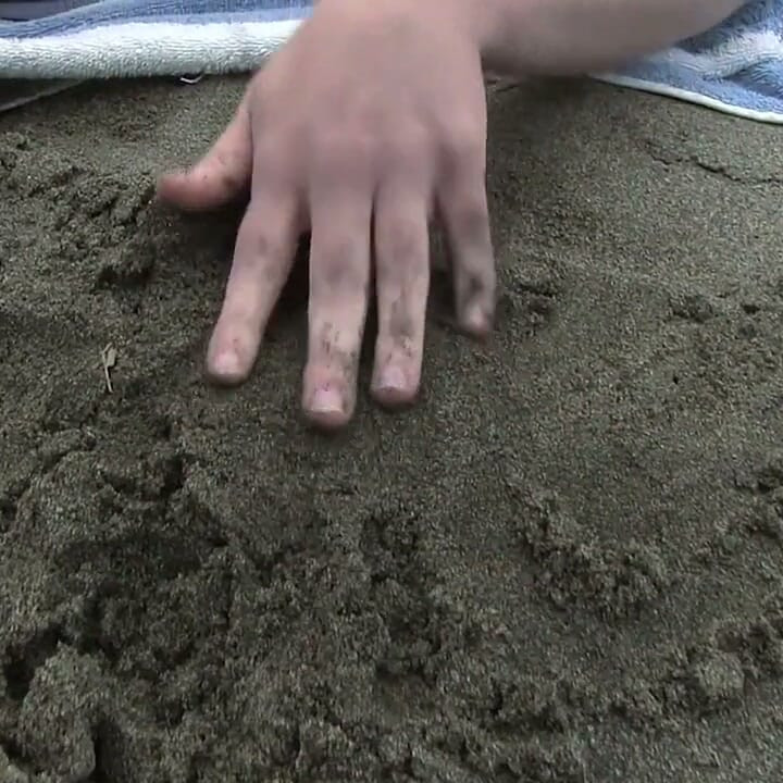 Beach Babe