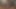 POV Cayne Kasota Sucks His Neighbor