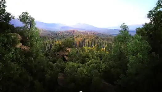 Порядок Происхождения: Лосьон, эпизод 51