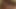 Jada Fire knows how to please a big black beef bayonet with her pierced tongue