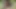 Anal, MILfs pissen in seinen mund