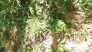 Suhani novio en la selva atrapado meando
