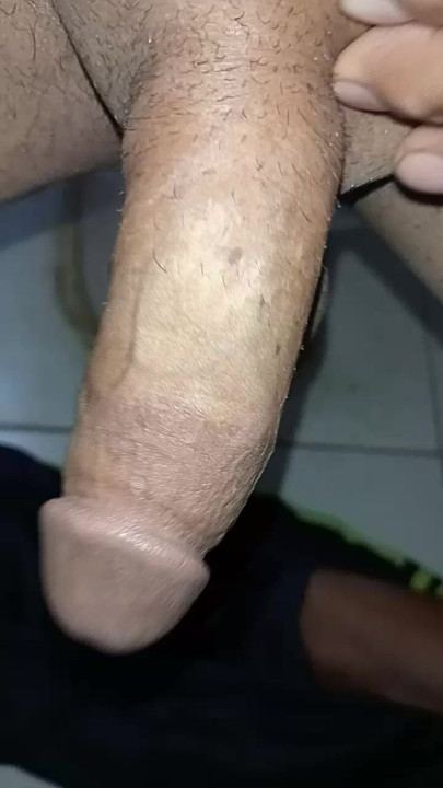Garoto de pinheiros maiores