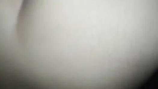 Fucked on All Fours Latina