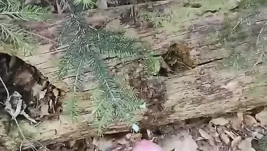 açık twinks
